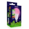 Лампа светодиодная ФИТО A80-17W/E27 SMARTBUY (SBL-A80-17-fito-E27)