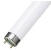 Лампа люминесцентная 36Вт/765 (ЛД) OSRAM