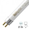 Лампа люминесцентная NTL-T5-21W/840 G5