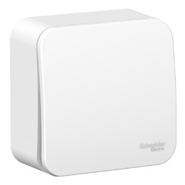 SE Blanca Белый Выключатель 1-кл. наруж. 6А, изолир. пластина (BLNVA061011)