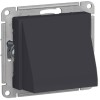 SE AtlasDesign Карбон вывод кабеля (ATN001099)